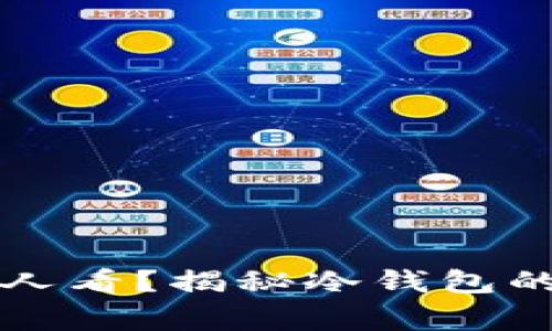 为什么冷钱包不能让别人看？揭秘冷钱包的安全性和使用注意事项