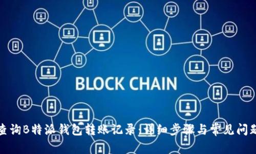 如何查询B特派钱包转账记录：详细步骤与常见问题解答