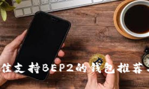 2023年最佳支持BEP2的钱包推荐与使用指南
