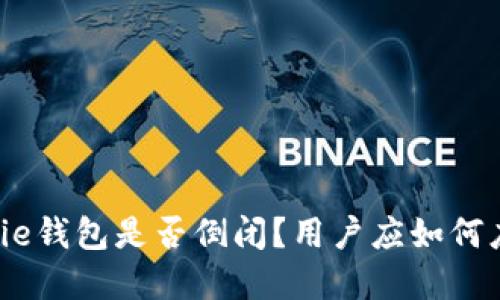 Bitpie钱包是否倒闭？用户应如何应对？