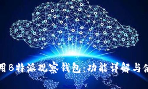 如何使用B特派观察钱包：功能详解与使用指南