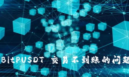 如何解决 BitPUSDT 交易不到账的问题：详尽指南