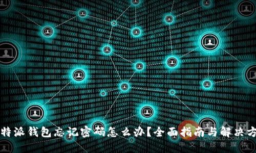 比特派钱包忘记密码怎么办？全面指南与解决方案