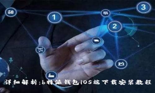 详细解析：b特派钱包iOS端下载安装教程