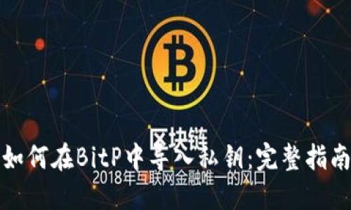 如何在BitP中导入私钥：完整指南
