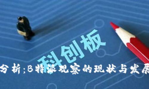 深入分析：B特派观察的现状与发展前景