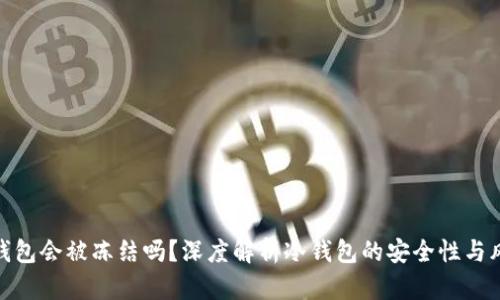 冷钱包会被冻结吗？深度解析冷钱包的安全性与风险