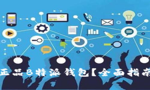 在哪里购买正品B特派钱包？全面指南与注意事项