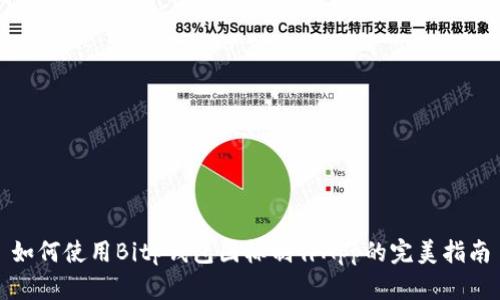 如何使用Bitp钱包图标制作App的完美指南