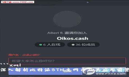 ```xml
深入解析比特派BTM主网币及其应用前景