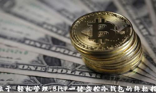 
 位于 轻松管理：BitP一键监控冷钱包的终极指南
