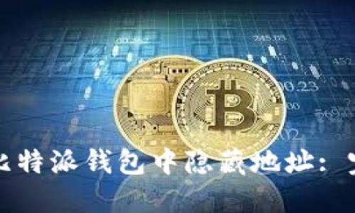 如何在比特派钱包中隐藏地址: 完整指南