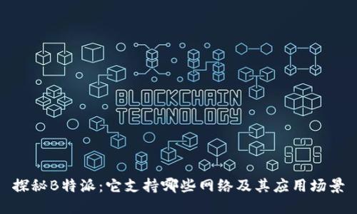 探秘B特派：它支持哪些网络及其应用场景