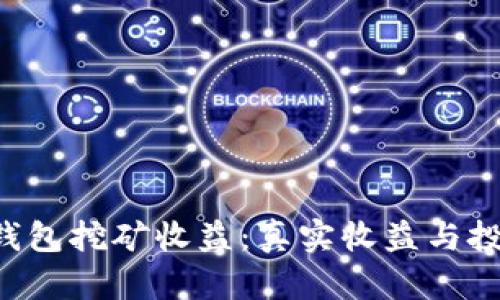 揭秘B特派钱包挖矿收益：真实收益与投资风险分析