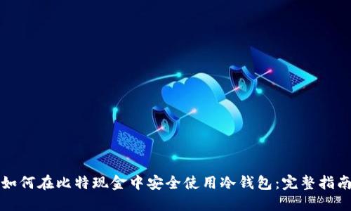 如何在比特现金中安全使用冷钱包：完整指南