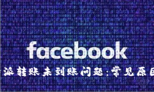 如何处理B特派转账未到账问题：常见原因与解决方案