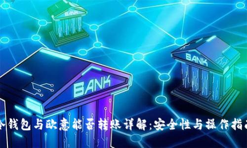 冷钱包与欧意能否转账详解：安全性与操作指南