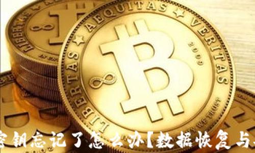 
im钱包密钥忘记了怎么办？数据恢复与安全指南