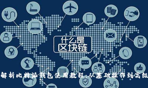 全面解析比特派钱包使用教程：从基础操作到高级技巧