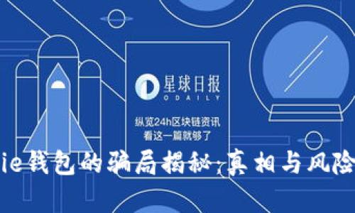 Bitpie钱包的骗局揭秘：真相与风险分析