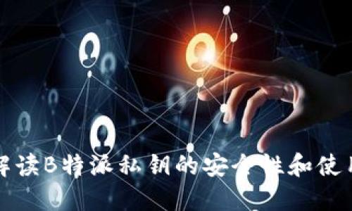 全面解读B特派私钥的安全性和使用指南