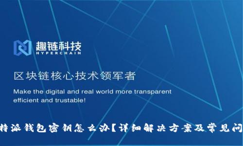 忘记B特派钱包密钥怎么办？详细解决方案及常见问题解答