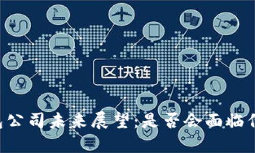 IM冷钱包公司未来展望：是否会面临倒闭风险？