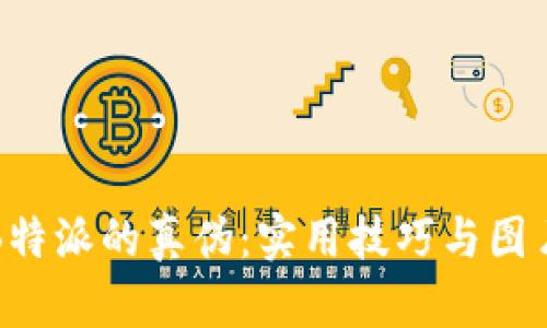 如何判断B特派的真伪：实用技巧与图片鉴别指南