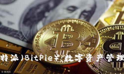 全面解析比特派（BitPie）：数字资产管理的理想选择