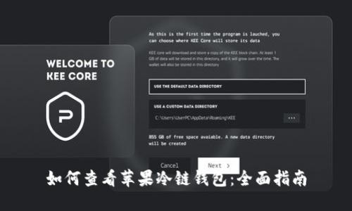 如何查看苹果冷链钱包：全面指南