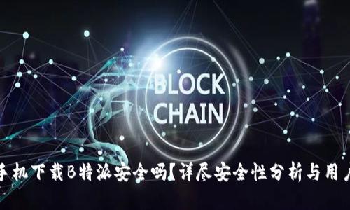 安卓手机下载B特派安全吗？详尽安全性分析与用户指南