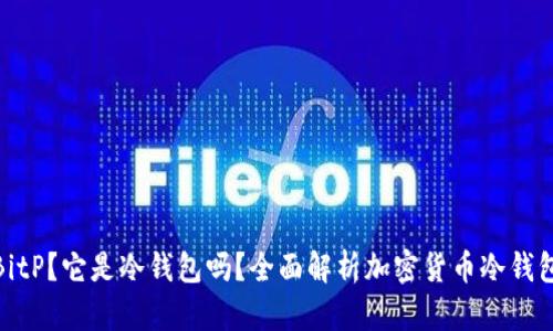 什么是BitP？它是冷钱包吗？全面解析加密货币冷钱包的概念