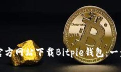 如何从官方网站下载Bitp