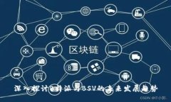 深入探讨B特派与BSV的未来