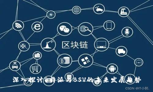 深入探讨B特派与BSV的未来发展趋势