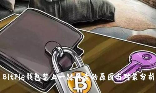 BitPie钱包禁止一键买卖的原因与对策分析