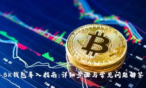 BK钱包导入指南：详细步骤与常见问题解答