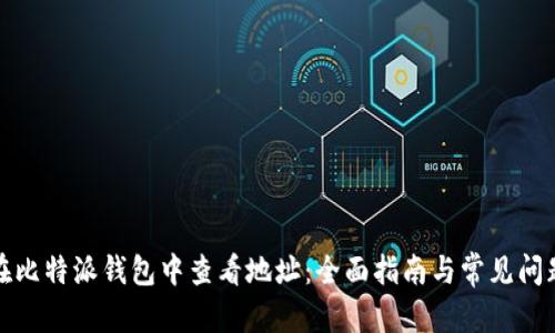 蒙版

如何在比特派钱包中查看地址：全面指南与常见问题解答