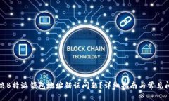 如何解决B特派钱包地址错