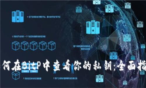 如何在BitP中查看你的私钥：全面指南