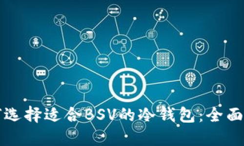 如何选择适合BSV的冷钱包：全面指南