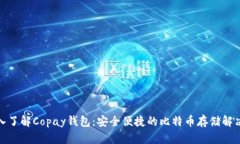 : 深入了解Copay钱包：安全
