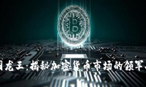 币圈龙王：揭秘加密货币市场的领军人物