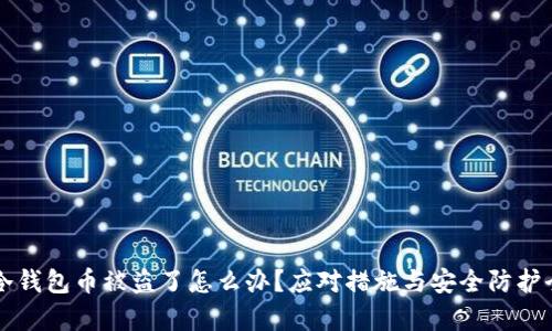 我的冷钱包币被盗了怎么办？应对措施与安全防护全解析